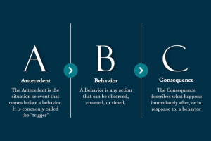 ABCs of Behavior definition image
