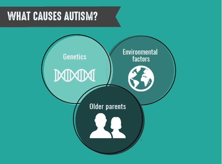 Causas del autismo